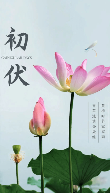 熱、熱、熱！入伏中……